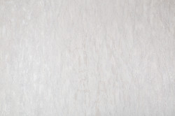 CAT_MACRO_PHOTOqI_SL72199-45_(1)