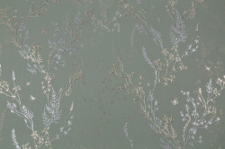 CAT_MACRO_PHOTOxI_HC72414-74_(1)