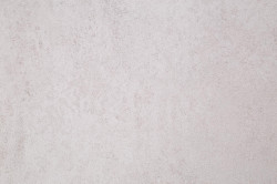 CAT_MACRO_PHOTOyi_HC72605-22_(2)