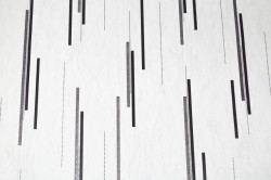 CAT_MACRO_PHOTOqI_SL72198-14_(1)