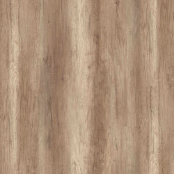 b7d45331_4909_11ef_bad0_005056a454e9_abfaba37_4976_11ef_bad0_005056a454e9