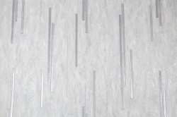 CAT_MACRO_PHOTOmI_SL72198-44_(1)