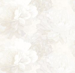 dy0u8pa724gn7g493hn41btl5q89nmo6