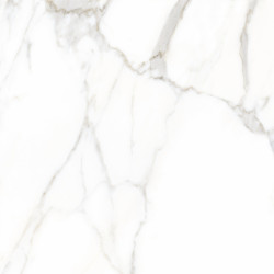 z574ou6oqcd1dfdchb52db1ej1r1qsoi