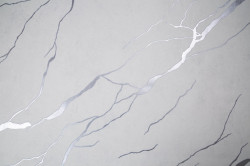 CAT_MACRO_PHOTOii_HC72604-12_(1)