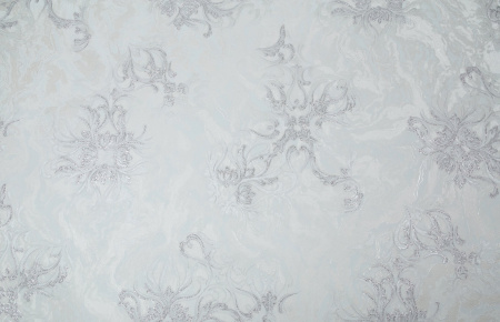 CAT_MACRO_PHOTOvI_PL72374-16_(2)