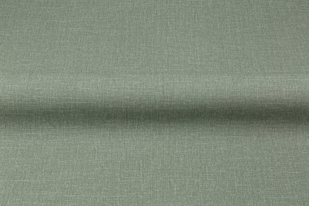 CAT_MACRO_PHOTOiI_VV72301-77_(3)