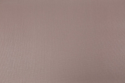 CAT_MACRO_PHOTOvI_PL72947-83_(1)