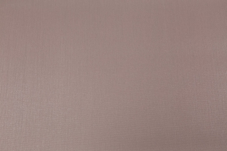 CAT_MACRO_PHOTOvI_PL72947-83_(1)