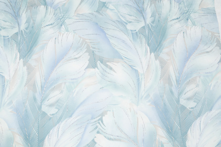 CAT_MACRO_PHOTOsI_HC72172-67_(1)