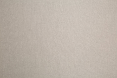 CAT_MACRO_PHOTOhImg_SP71992-28_(7)