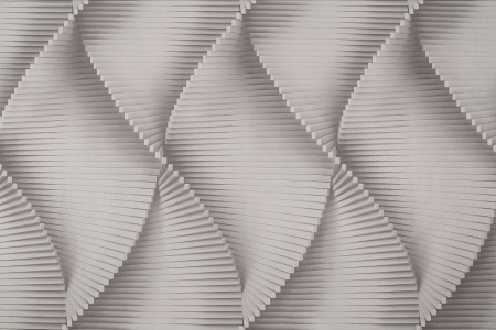 CAT_MACRO_PHOTOcI_HC72177-41_(1)