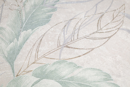 CAT_MACRO_PHOTOzI_HC72437-27_(2)