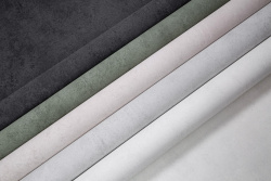 CAT_MACRO_PHOTOsimages_HC72605_(2)