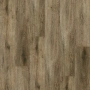 6509094077