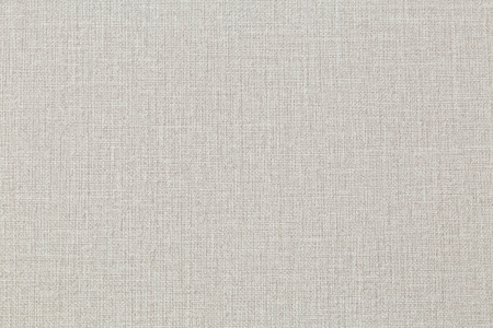 CAT_MACRO_PHOTOhI_VV72301-18_(2)