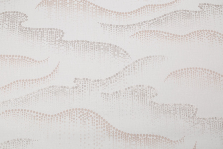 CAT_MACRO_PHOTOlI_PL72361-12_(1)