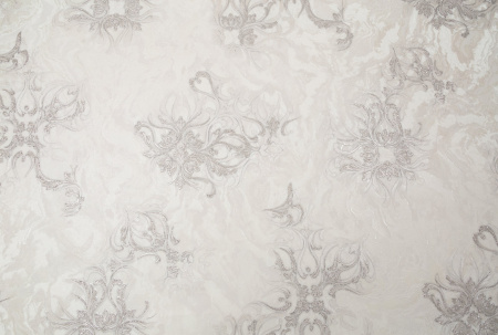 CAT_MACRO_PHOTOiI_PL72374-21_(1)