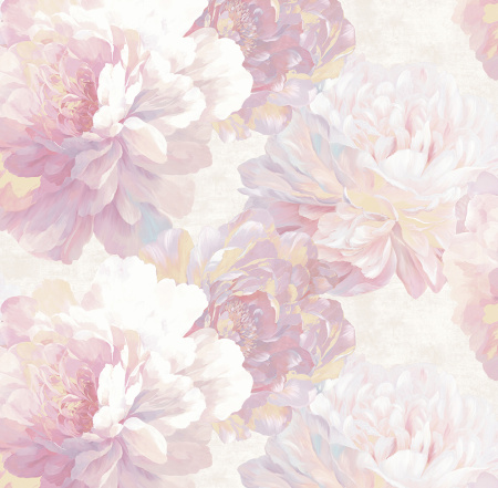 s324xe1j4ddcdy8miudjy7cfe6xjrvvy