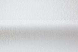 CAT_MACRO_PHOTOeI_HC31236-14_(3)