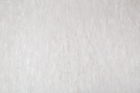 CAT_MACRO_PHOTOgI_SL72199-45_(1)