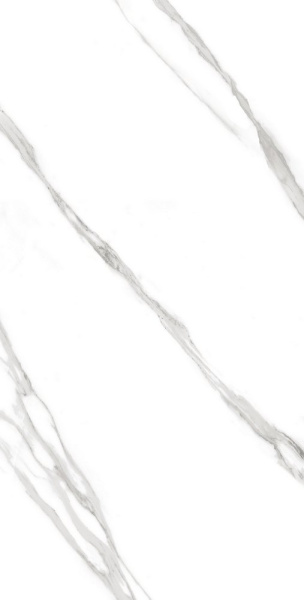 f6114dec-4b1d-11ee-bbb8-00505693d103