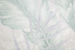 CAT_MACRO_PHOTObI_HC72437-27_(3)