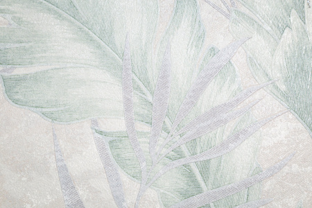 CAT_MACRO_PHOTObI_HC72437-27_(3)