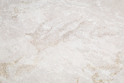 CAT_MACRO_PHOTOrI_HC72438-27_(2)