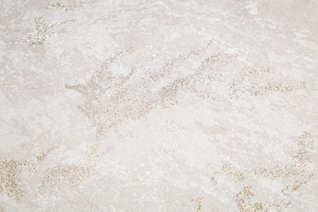 CAT_MACRO_PHOTOrI_HC72438-27_(2)