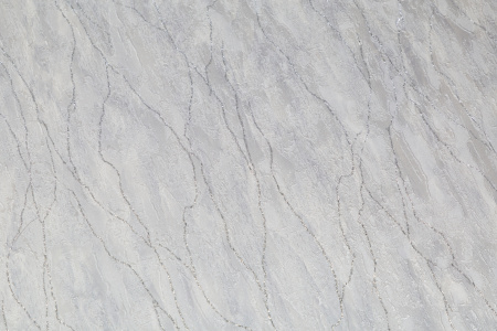 CAT_MACRO_PHOTOlI_SL72199-44_(2)