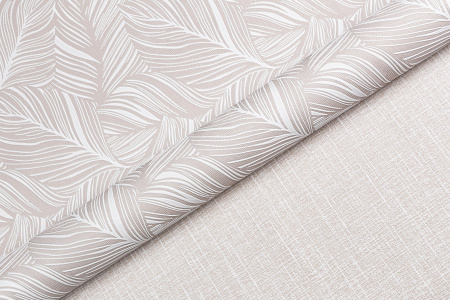 CAT_MACRO_PHOTOni_HC31187-18jHC31188-18_(2)