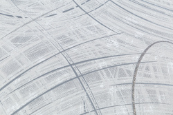 CAT_MACRO_PHOTOgI_PL81592-41_(2)