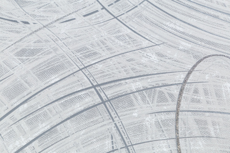 CAT_MACRO_PHOTOgI_PL81592-41_(2)