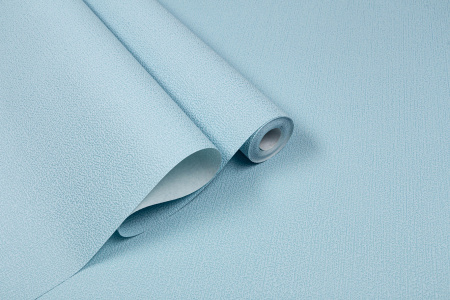 CAT_MACRO_PHOTOgI_HC31186-67_(6)