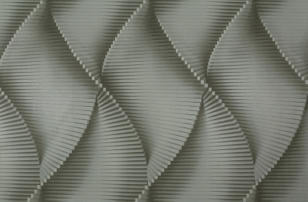 CAT_MACRO_PHOTOcI_HC72177-74_(1)