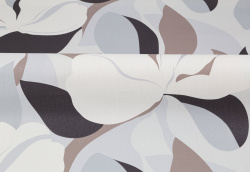 CAT_MACRO_PHOTOvI_PL72419-83_(4)