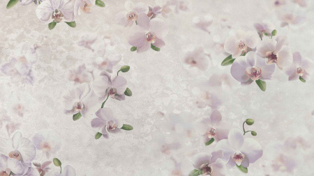 svmp01szdk9dd77cm02co00i3e9zptzo