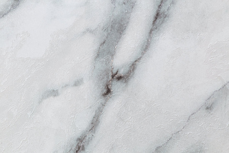 CAT_MACRO_PHOTOeI_HC72319-47_(3)