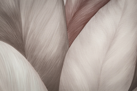 CAT_MACRO_PHOTOlI_TC72480-82_(2)