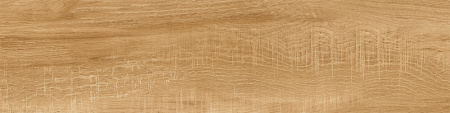 b9f13546-bf46-11ed-bbb1-00505693d103