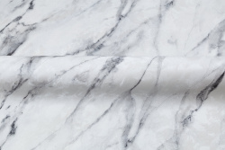 CAT_MACRO_PHOTOuI_HC72319-14_(4)