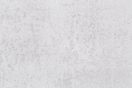 CAT_MACRO_PHOTOgi_VV71921-41_(3)