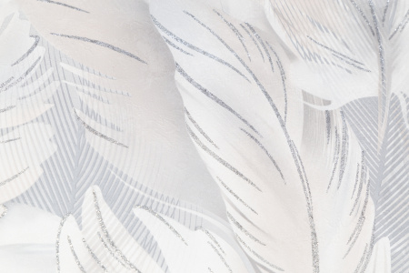 CAT_MACRO_PHOTOdI_HC72172-24_(3)