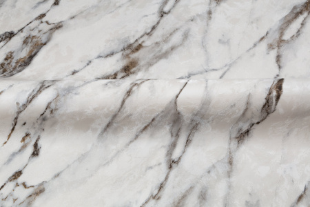 CAT_MACRO_PHOTOaI_HC72319-24_(4)