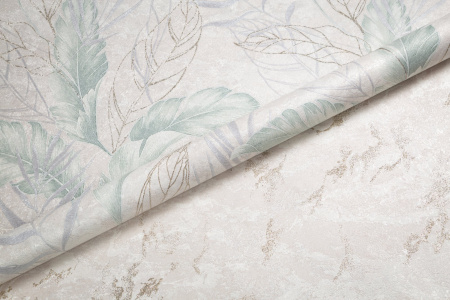 CAT_MACRO_PHOTOzI_HC72437-27sHC72438-27_(3)