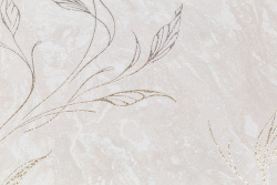 CAT_MACRO_PHOTOeI_HC11063-12_(3)