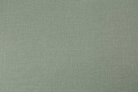 CAT_MACRO_PHOTOhI_VV72301-77_(1)