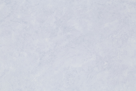 CAT_MACRO_PHOTOxI_HC72173-56_(1)