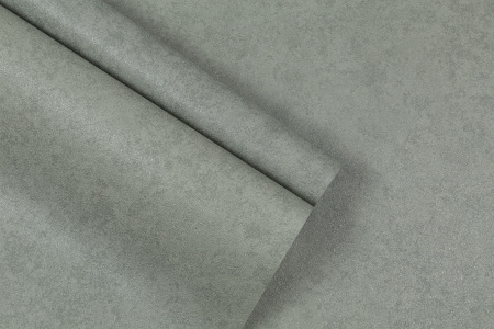 CAT_MACRO_PHOTOuI_HC72178-74_(7)